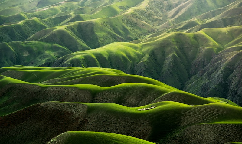 Natural & Outdoor Scenes